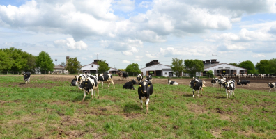 Živoči&scaron;n&aacute; v&yacute;roba