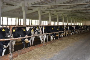 Živoči&scaron;n&aacute; v&yacute;roba