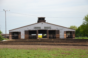 Živoči&scaron;n&aacute; v&yacute;roba